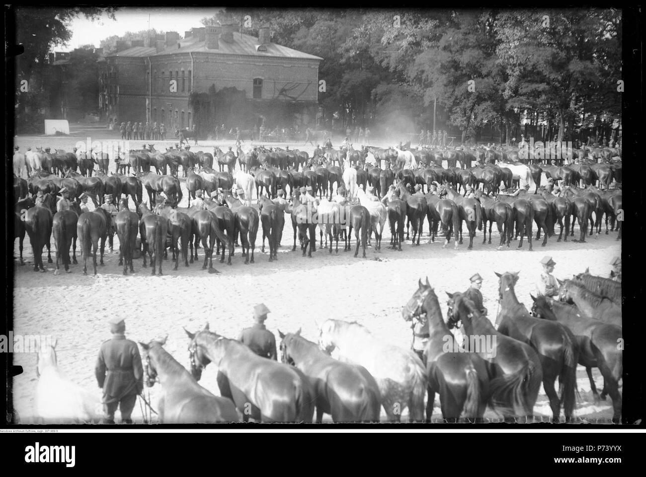 64 Narcyz Witczak-Witaczyński - Podział i przekazywanie koni 1 Pułku Strzelców Konnych (107-909-5) Stock Photo