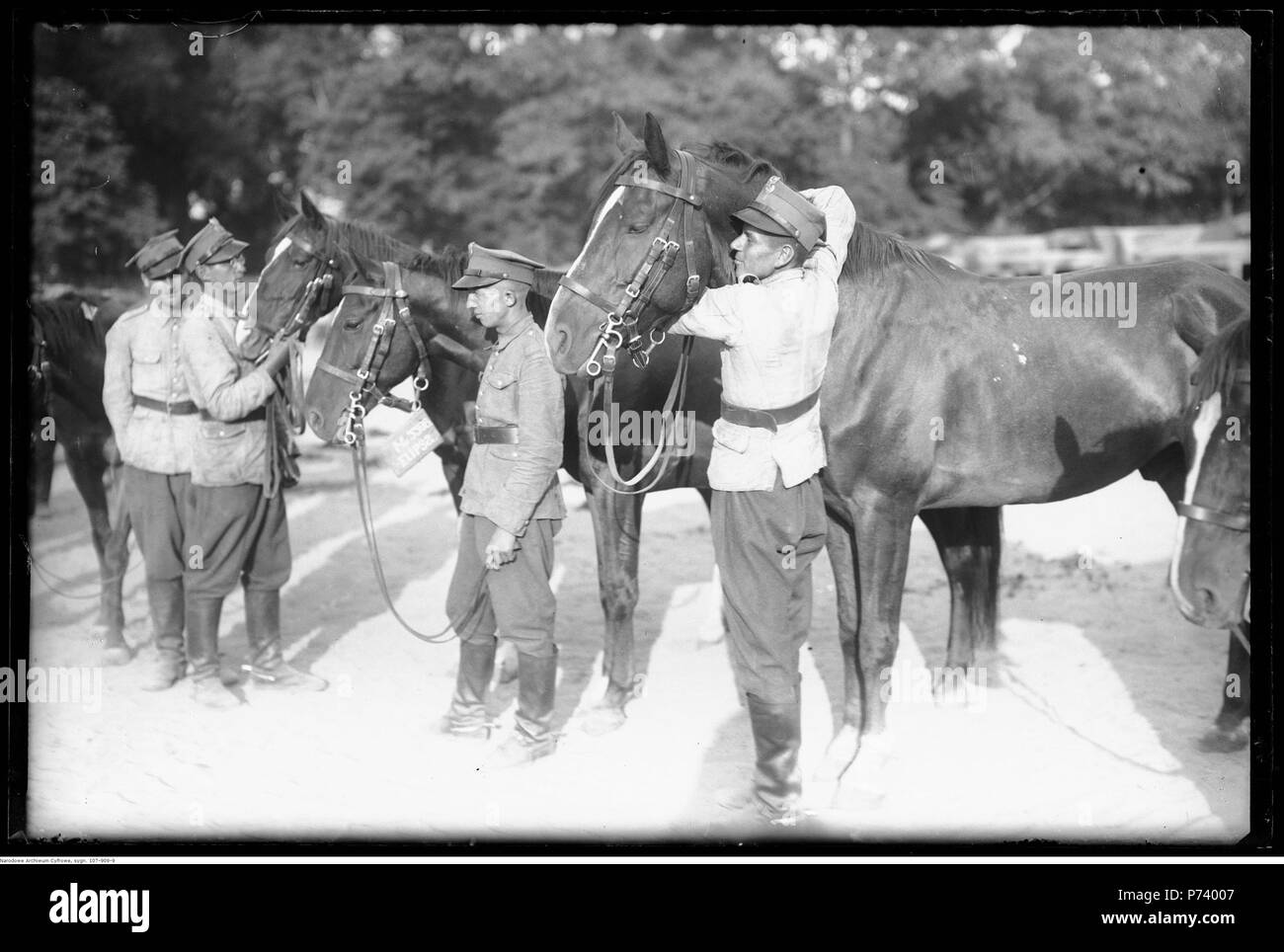 64 Narcyz Witczak-Witaczyński - Podział i przekazywanie koni 1 Pułku Strzelców Konnych (107-909-9) Stock Photo