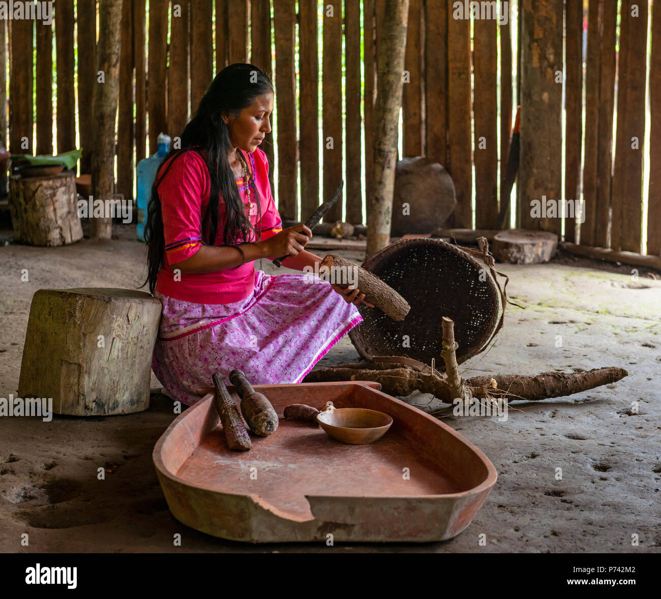 Young indigenous Kichwa woman preparing chicha, made of cassava or manioc, typical in the Amazon Rainforest Basin. Yasuni National Park, Ecuador. Stock Photo