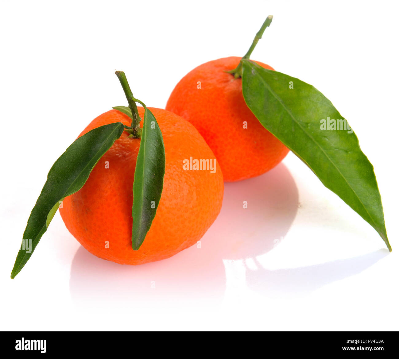 two clementines with leaves on a white background Stock Photo Alamy