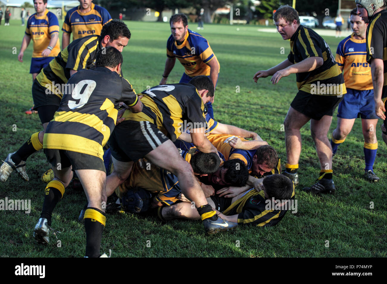 Game of rugby union in Paraparaumu, Kapiti, New Zealand Stock Photo