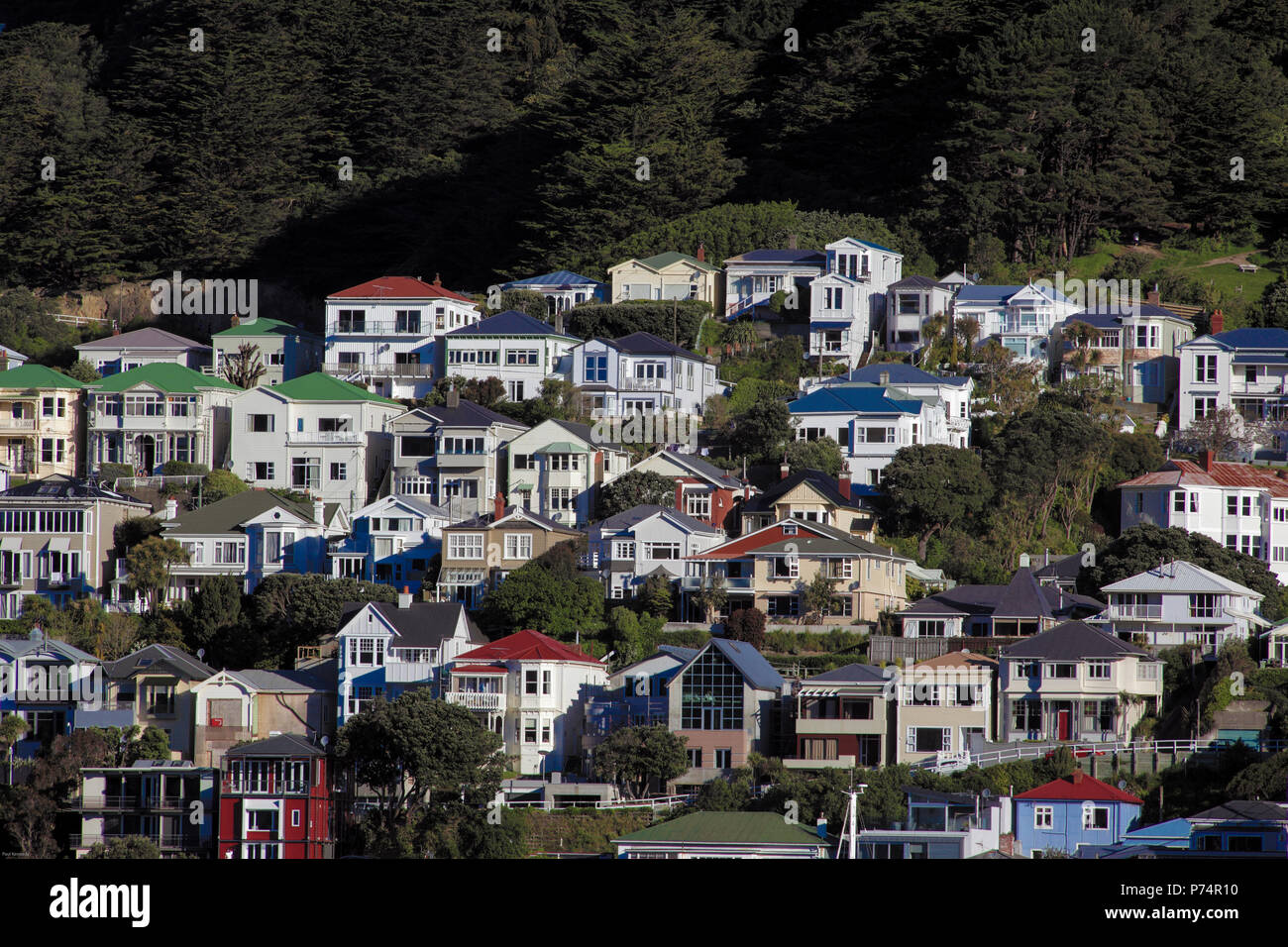 Tiered villas and bungalows in Oriental Bay, Wellington, New Zealand ...