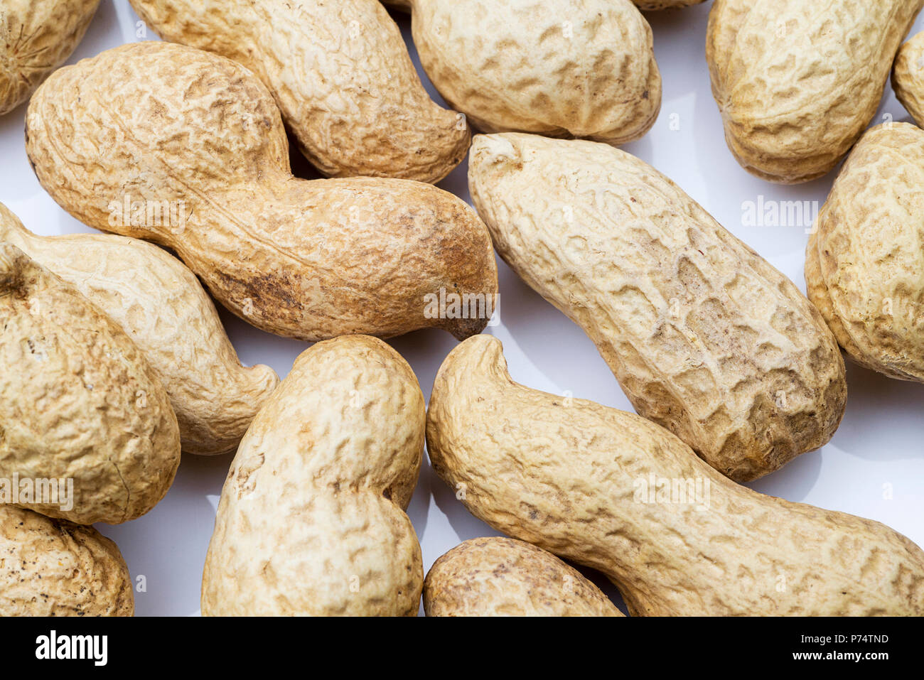 Peanut in shell close up like background. Stock Photo
