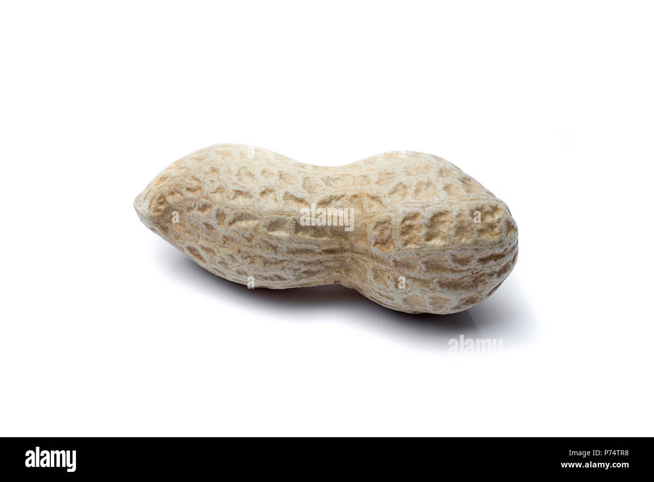 one peanuts isolated on white background in horizontal position. Stock Photo