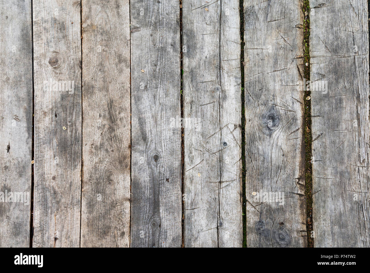 Gray blue wood texture and background. Rustic, old wooden surface