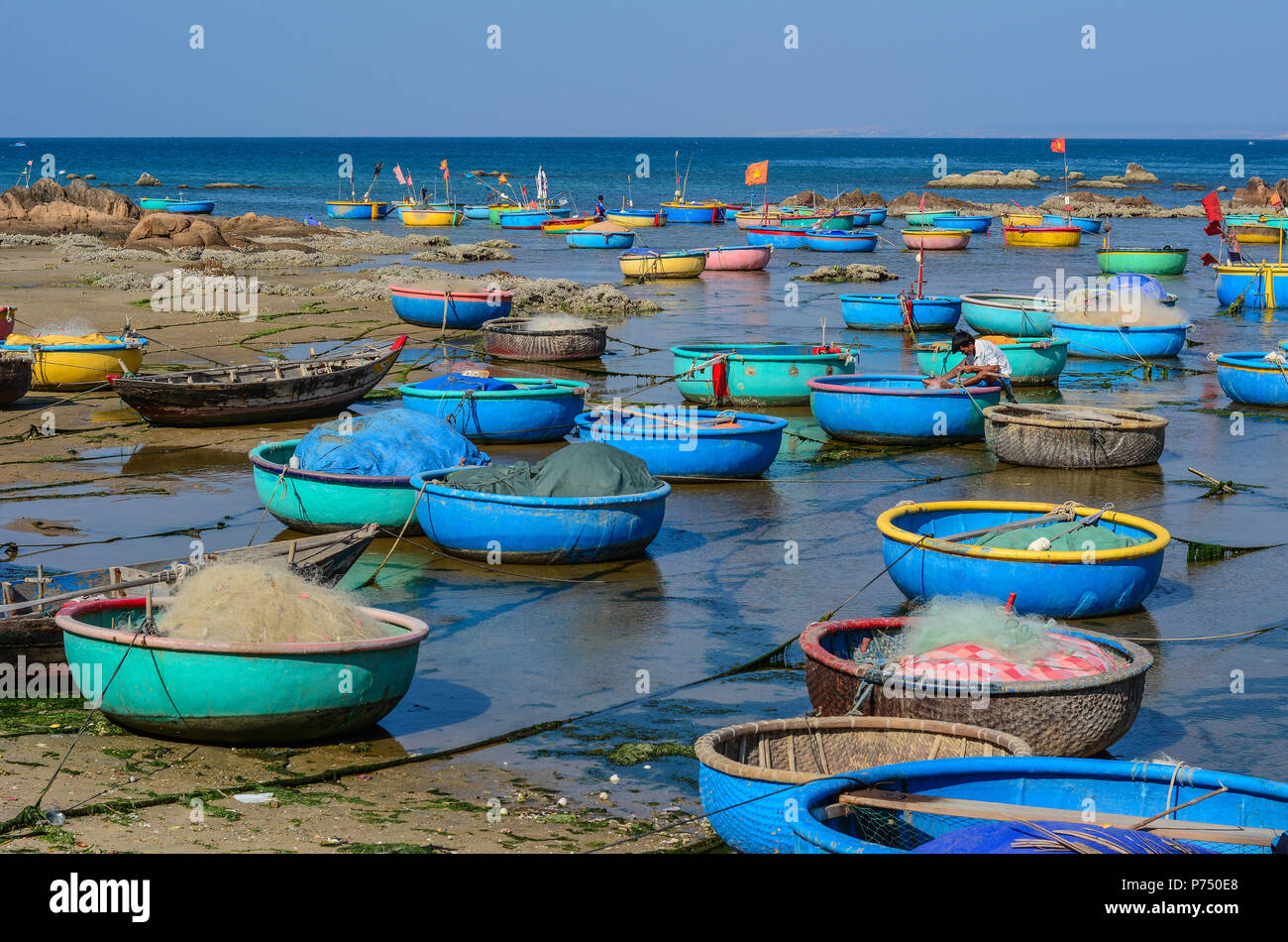 Phan Thiet, Vietnam - Mar 25, 2016. Basket boats docking at fishing ...