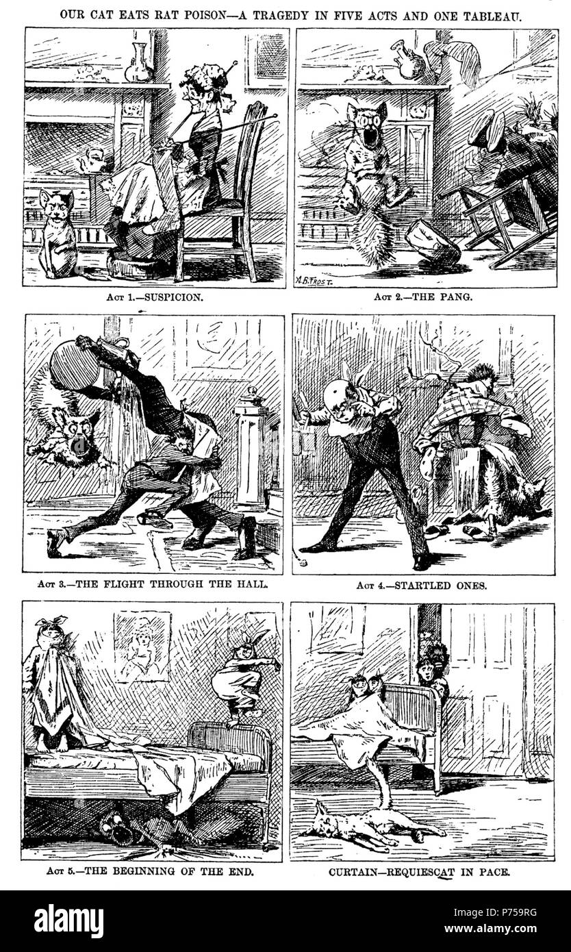 Our cat eats rat poison hires stock photography and images Alamy