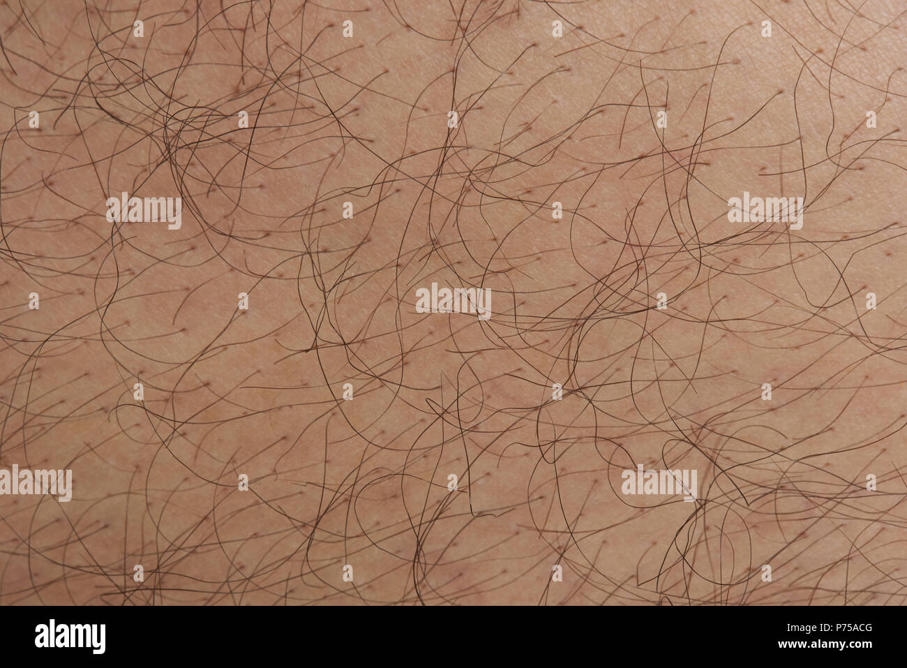 pores human stock photos pores human stock images alamy pores human stock photos pores human stock images alamy pores human stock photos pores human stock images alamy pores human stock photos pores human stock images alamy