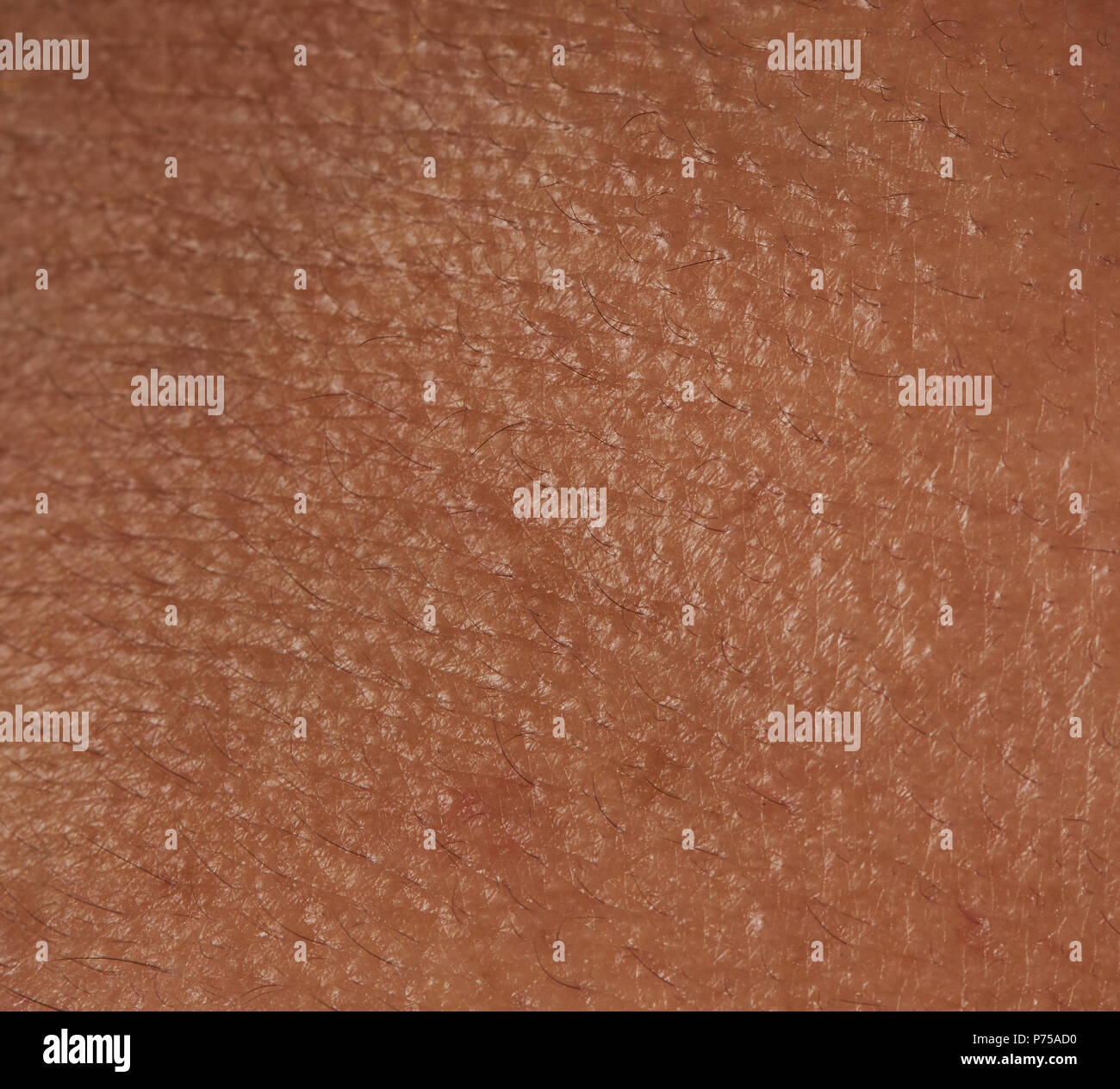 Human skin texture close-up view. Dark brown skin surface Stock Photo