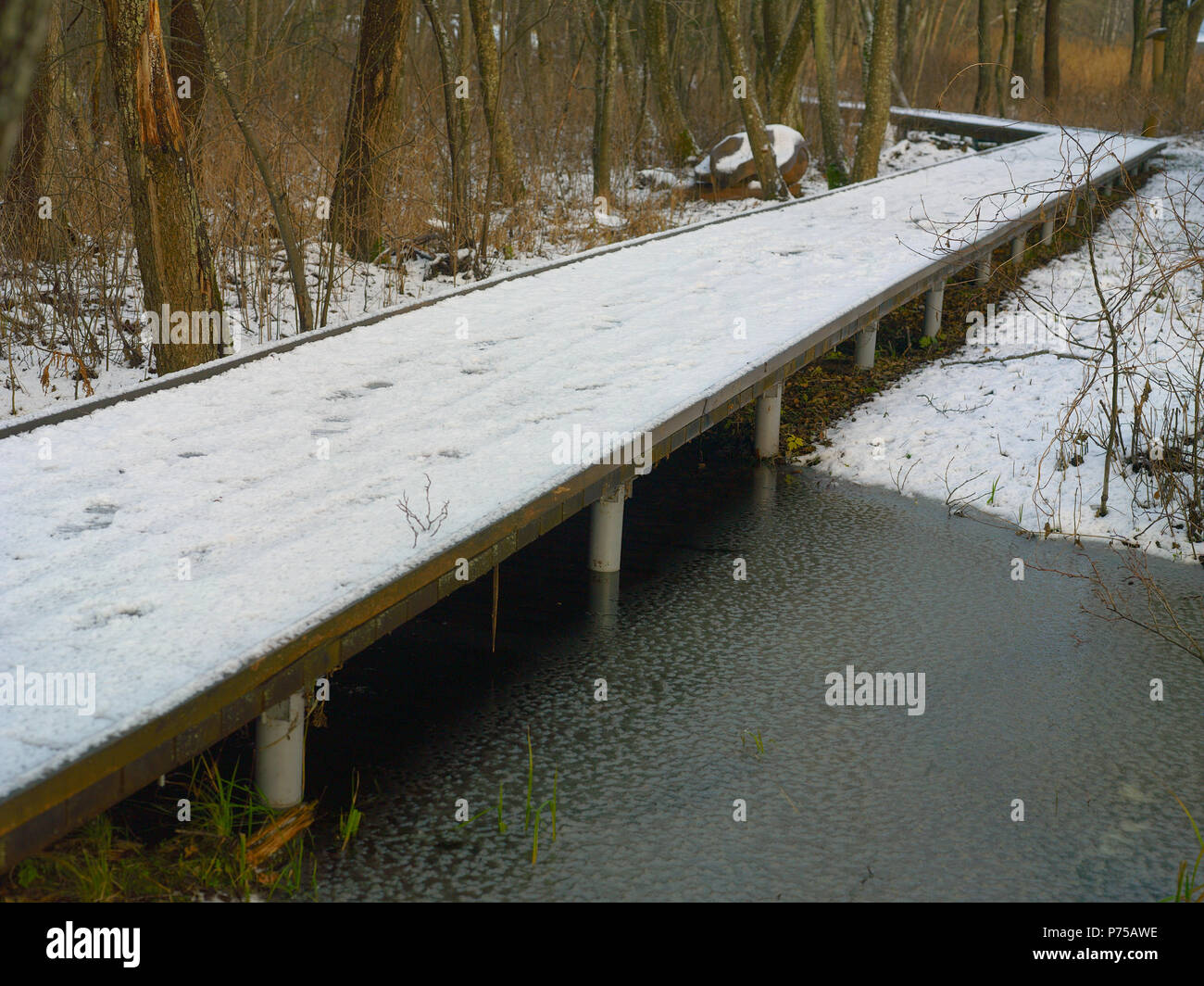 The first snow in the forest hi-res stock photography and images - Alamy