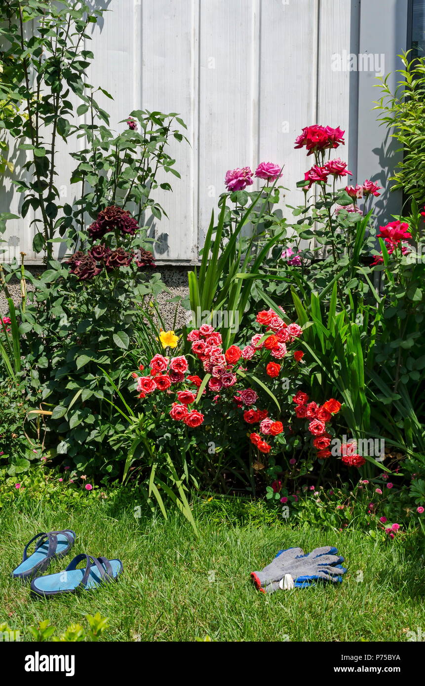 Beautiful garden with blooming flowers in the summer, slipper and glove of gardener, Sofia, Bulgaria Stock Photo