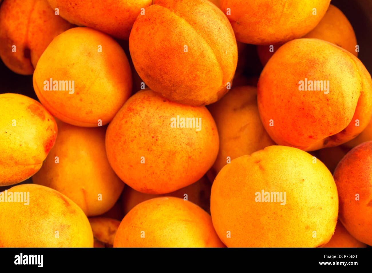 Ripe apricots fruits harvest hi-res stock photography and images - Alamy