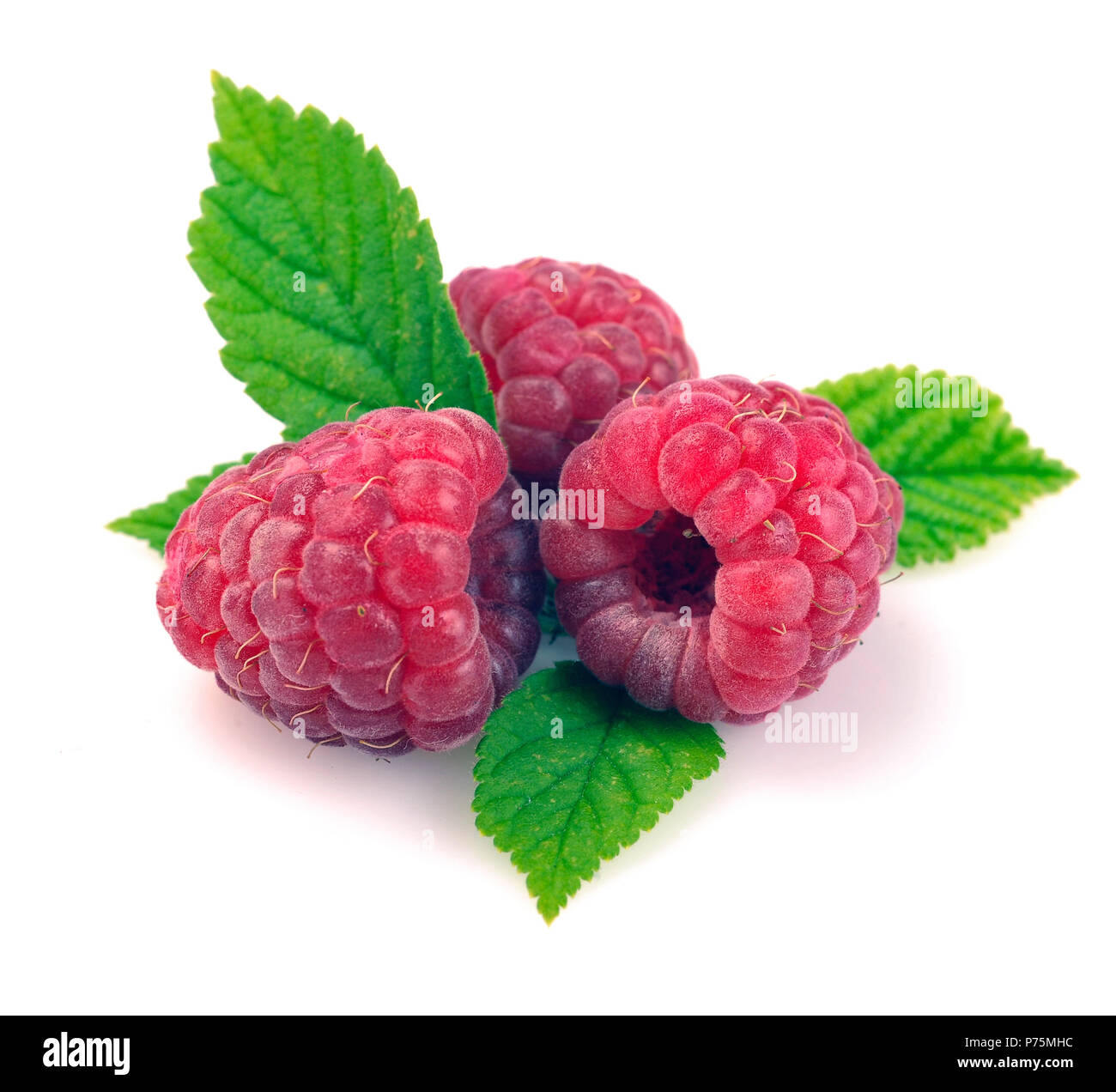 Raspberry with leaves on a white background Stock Photo - Alamy
