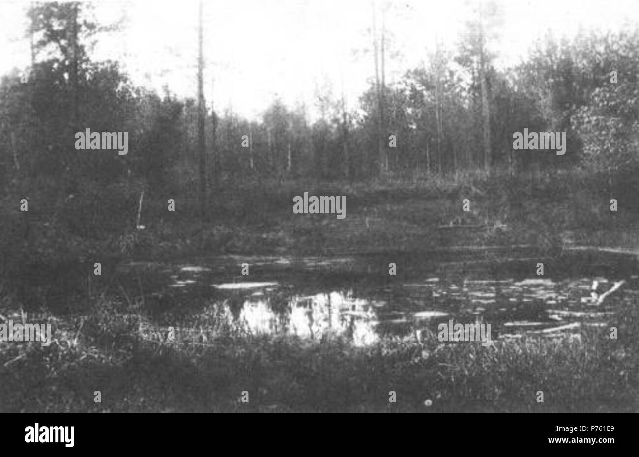 English Ganina Yama (Ganya's Pit) . 1919 185 Photo 066 Ganina Yama