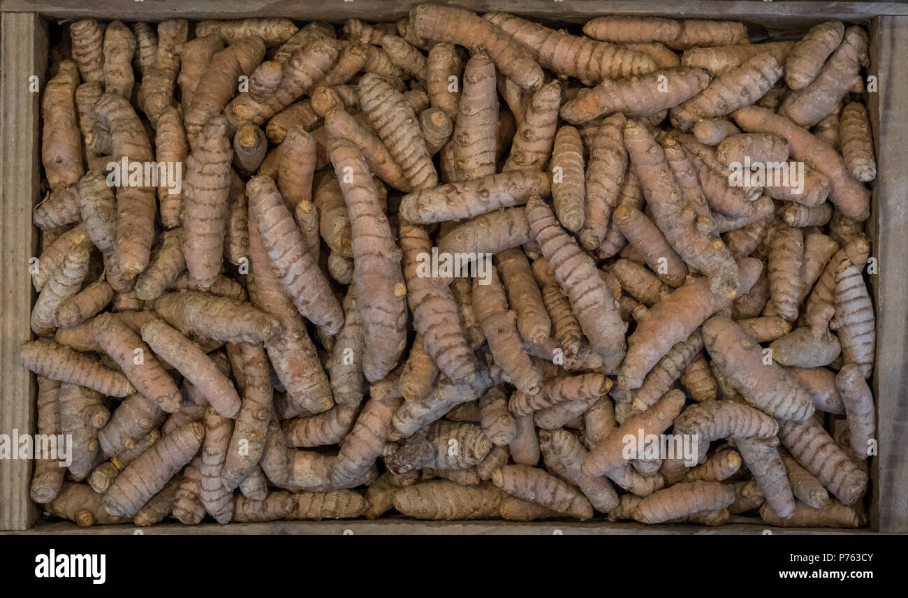 Turmeric roots in a wooden box, photographed from above. Turmeric is a cooking spice and also has a wide variety of medicinal qualities including bein Stock Photo