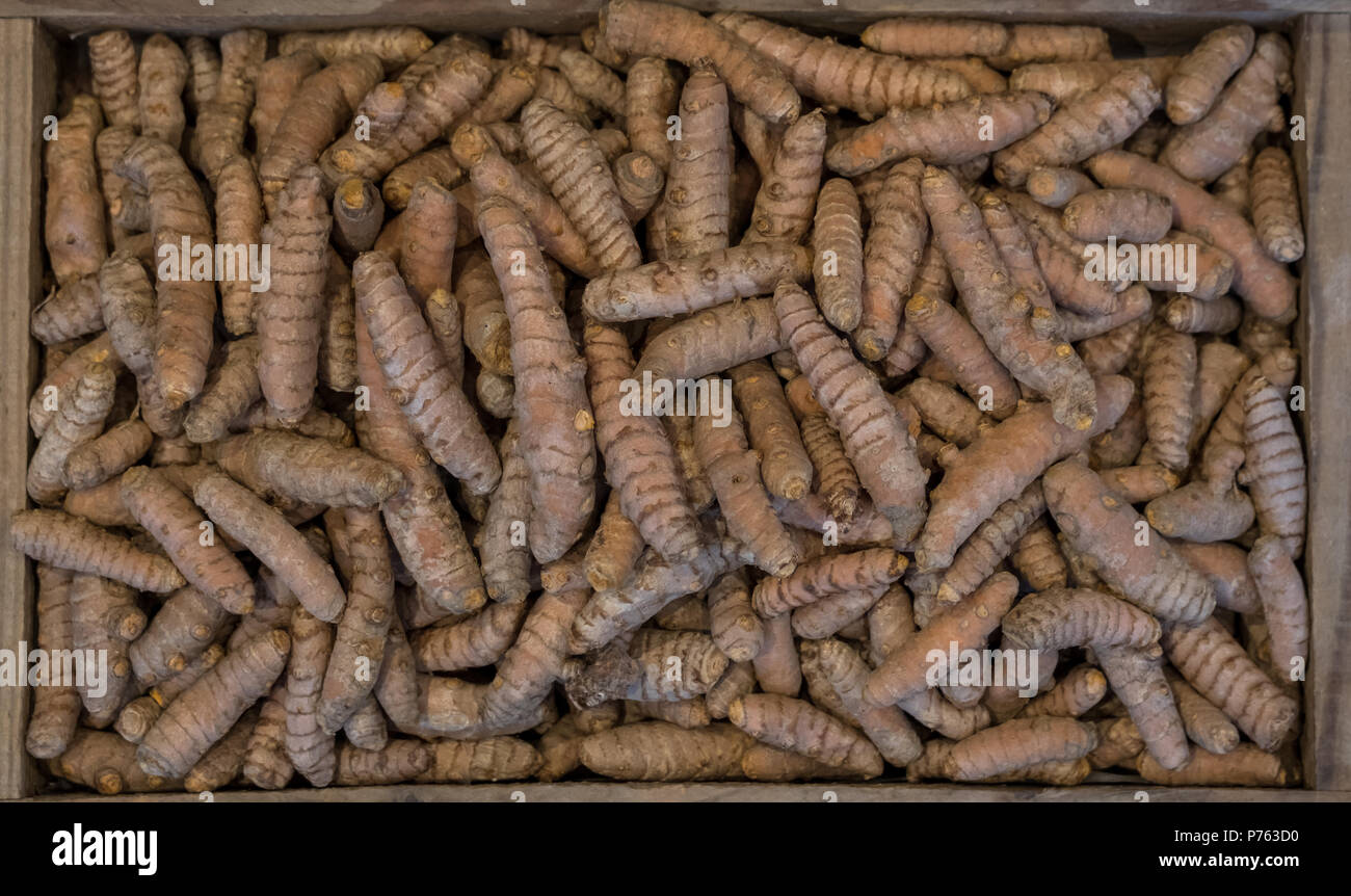 Turmeric roots in a wooden box, photographed from above. Turmeric is a cooking spice and also has a wide variety of medicinal qualities including bein Stock Photo