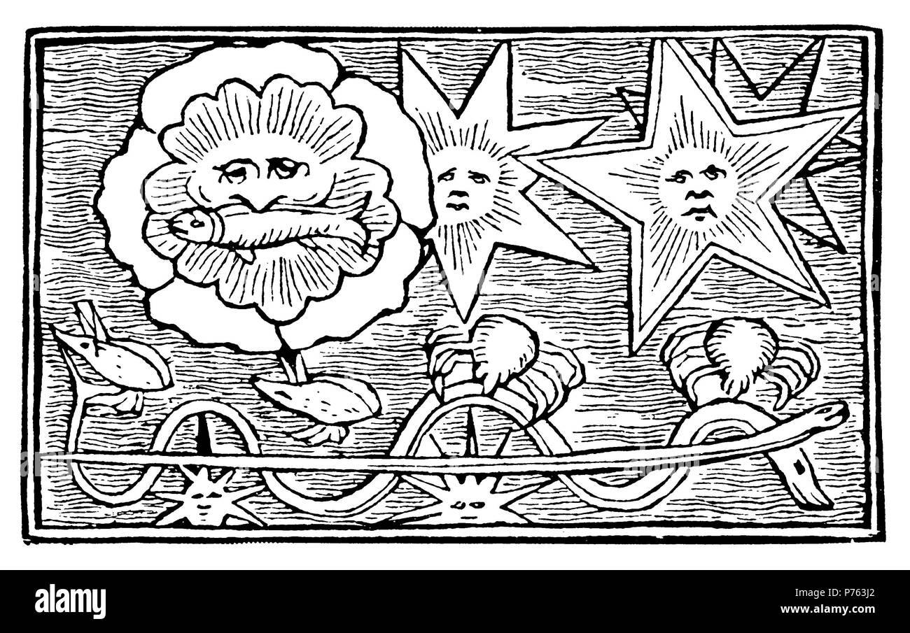 Sea and snake stars, crabs and worms. After Olaus Magnus, Olaus Magnus  1902 Stock Photo