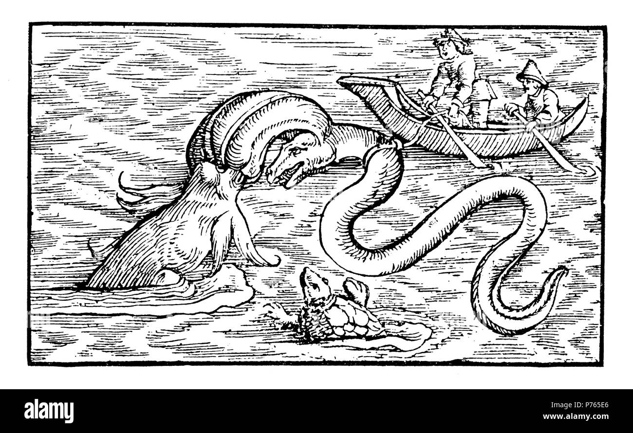 Fishing with an Indian hunting fish. After Conrad Gesner's 'Fischbuch' of 1509,   1902 Stock Photo