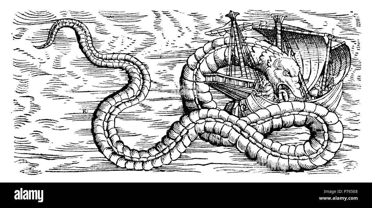 Wall snake or sea snake as described by Olaus Magnus. After Conrad Gesner's 'Fischbuch' from 1598,   1902 Stock Photo