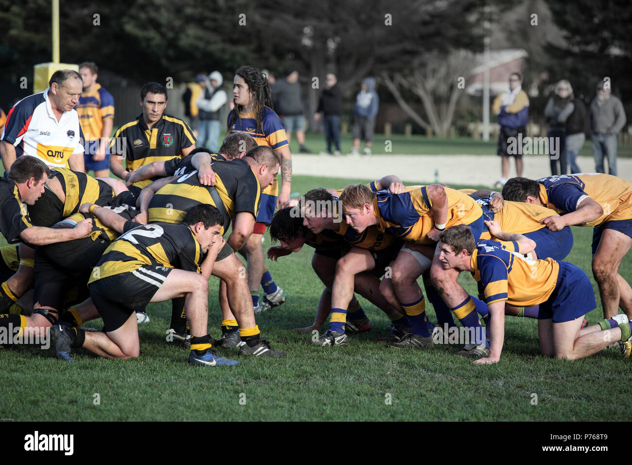 Scrum time in game of rugby union in Paraparaumu, Kapiti, New Zealand Stock Photo