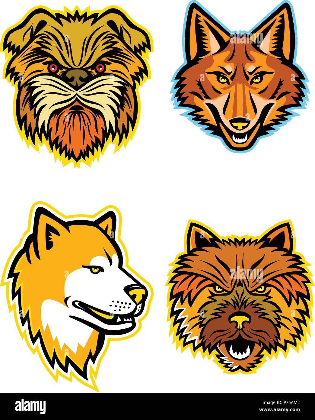 Mascot icon illustration set of heads of terriers and wolves or canids, like the Affenpinscher dog or  Monkey Terrier, coyote, wolf, coydog or wild do Stock Vector