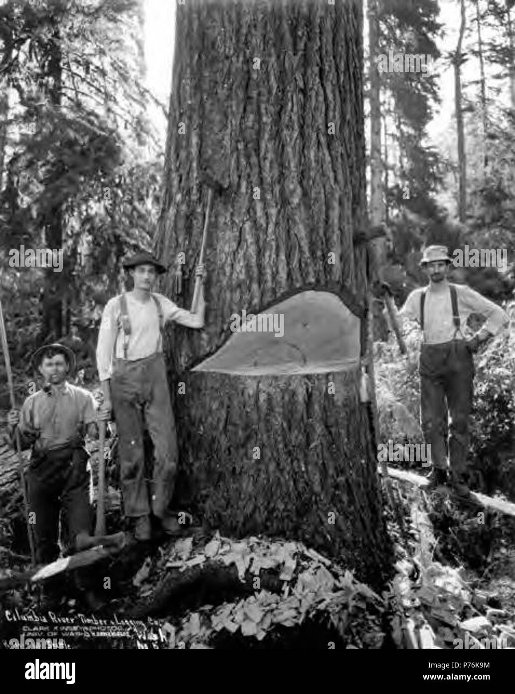 . English Felling men, Columbia River Timber Company, Skamokawa, ca