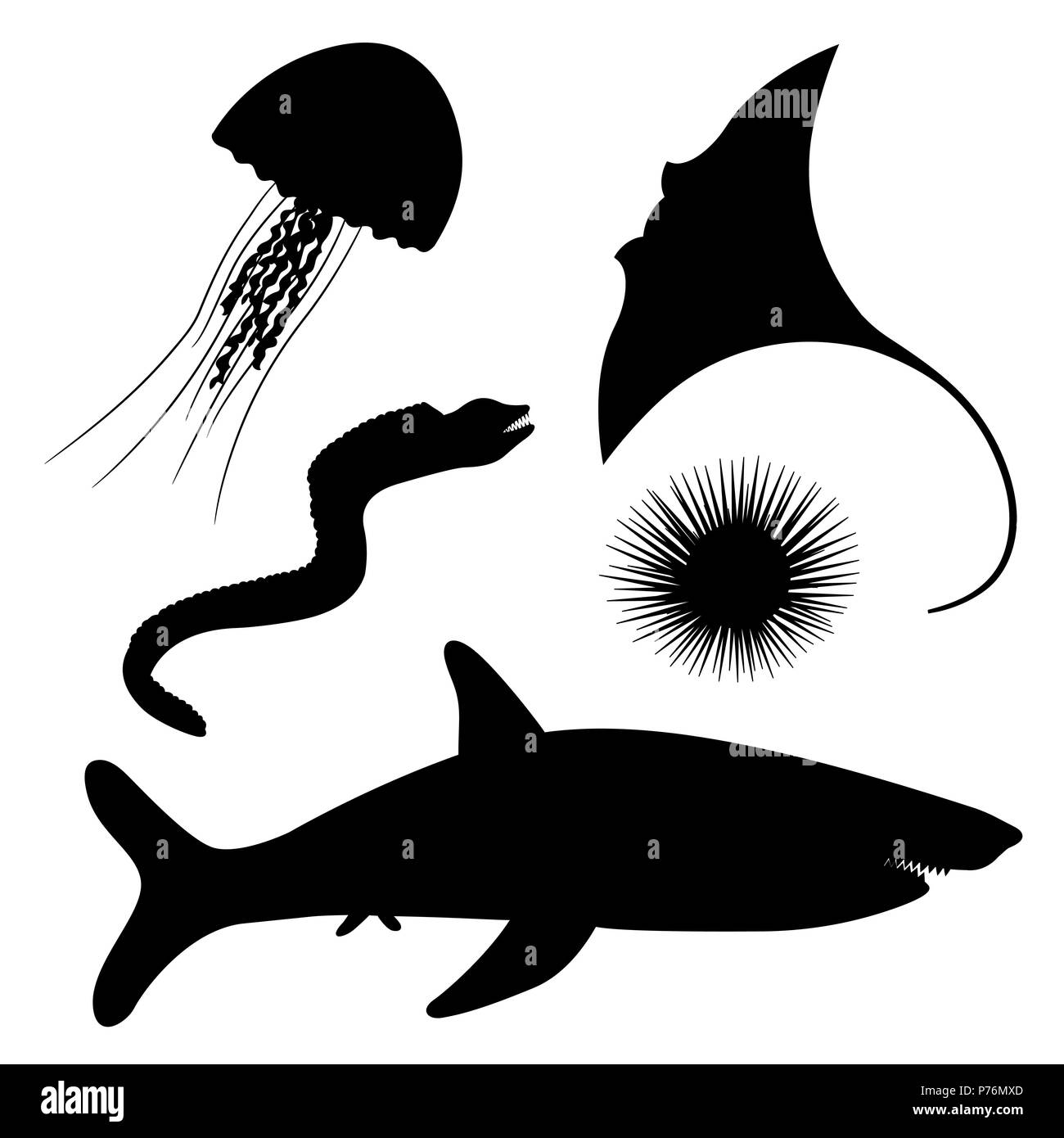 Dangerous marine life Stock Vector