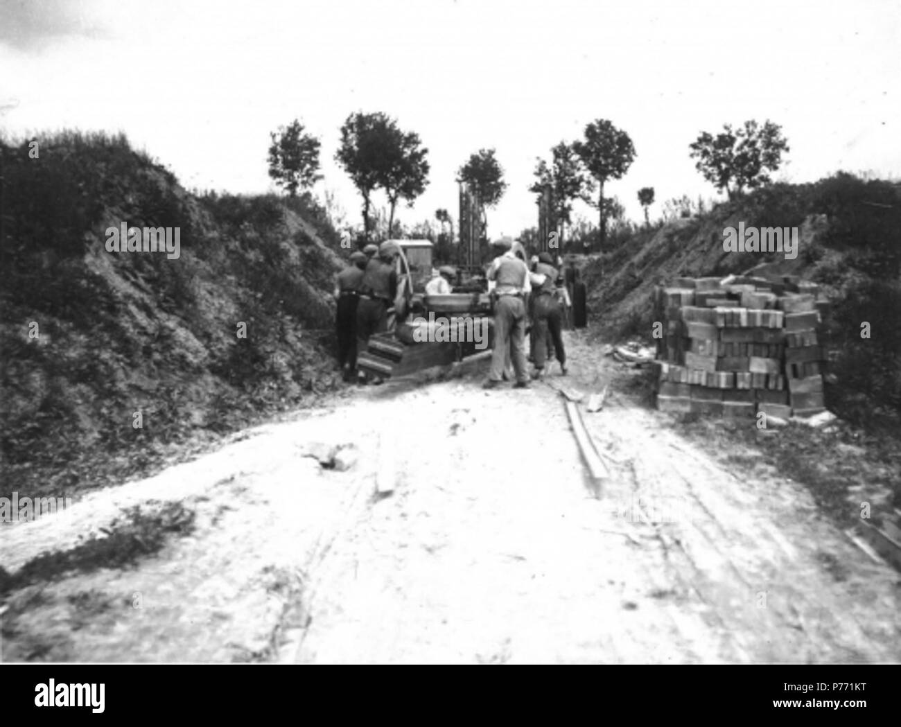 Italiano MICH. 2379 Ferrovia RoloMirandola trasporto materiali