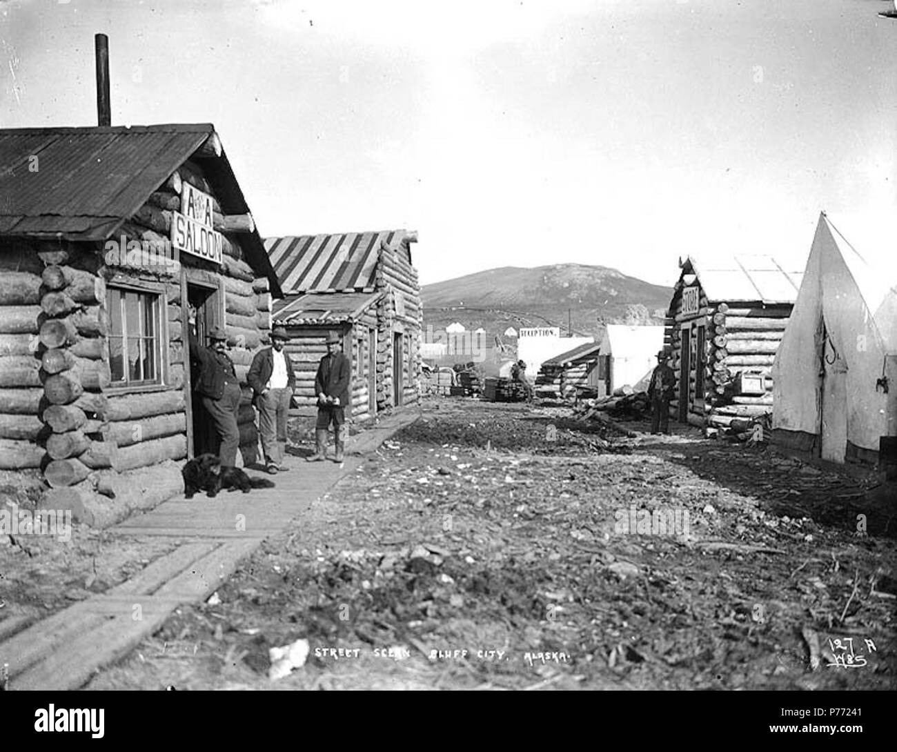 English Bluff Alaska Ca 1901 English Shows Log Cabins Lining