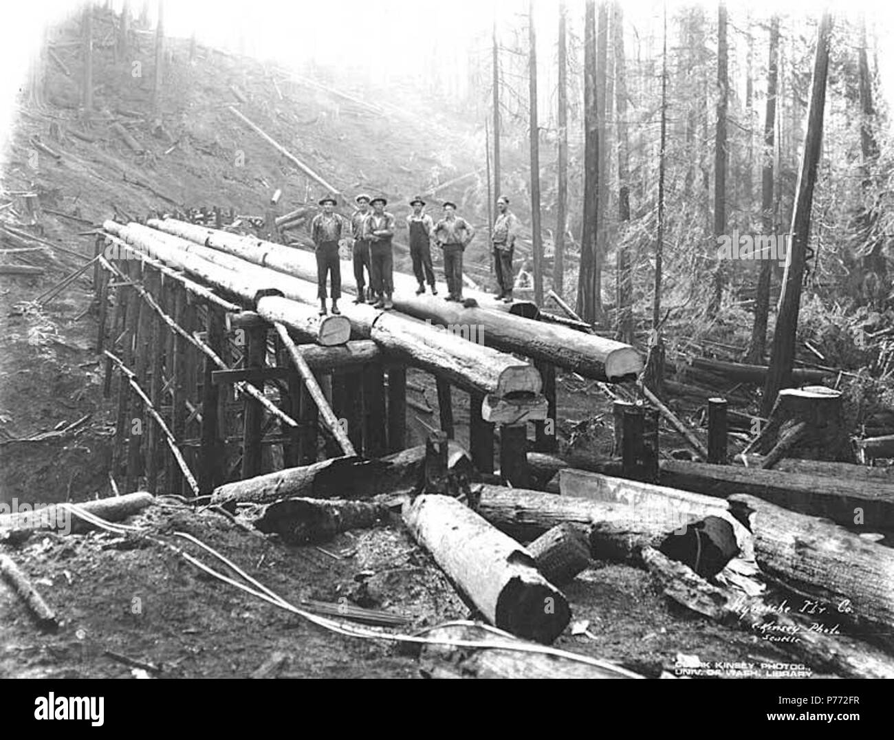 . English: Construction crew with log trestle under construction, Wynooche Timber Company, ca. 1921 . English: Caption on image: Wynooche Tbr Co. C. Kinsey Photo, Seattle PH Coll 516.5219 The Wynooche Timber Company began operations ca. 1913 with headquarters in Hoquiam and logging operations in Montesano. It was named for Wynooche Valley in northeast Grays Harbor County. Wynooche Timber Company was bought out by Schafer Brothers Logging Company ca. 1927. Subjects (LCTGM): Trestles--Washington (State); Railroad construction workers; Railroad construction & maintenance--Washington (State); Lumb Stock Photo