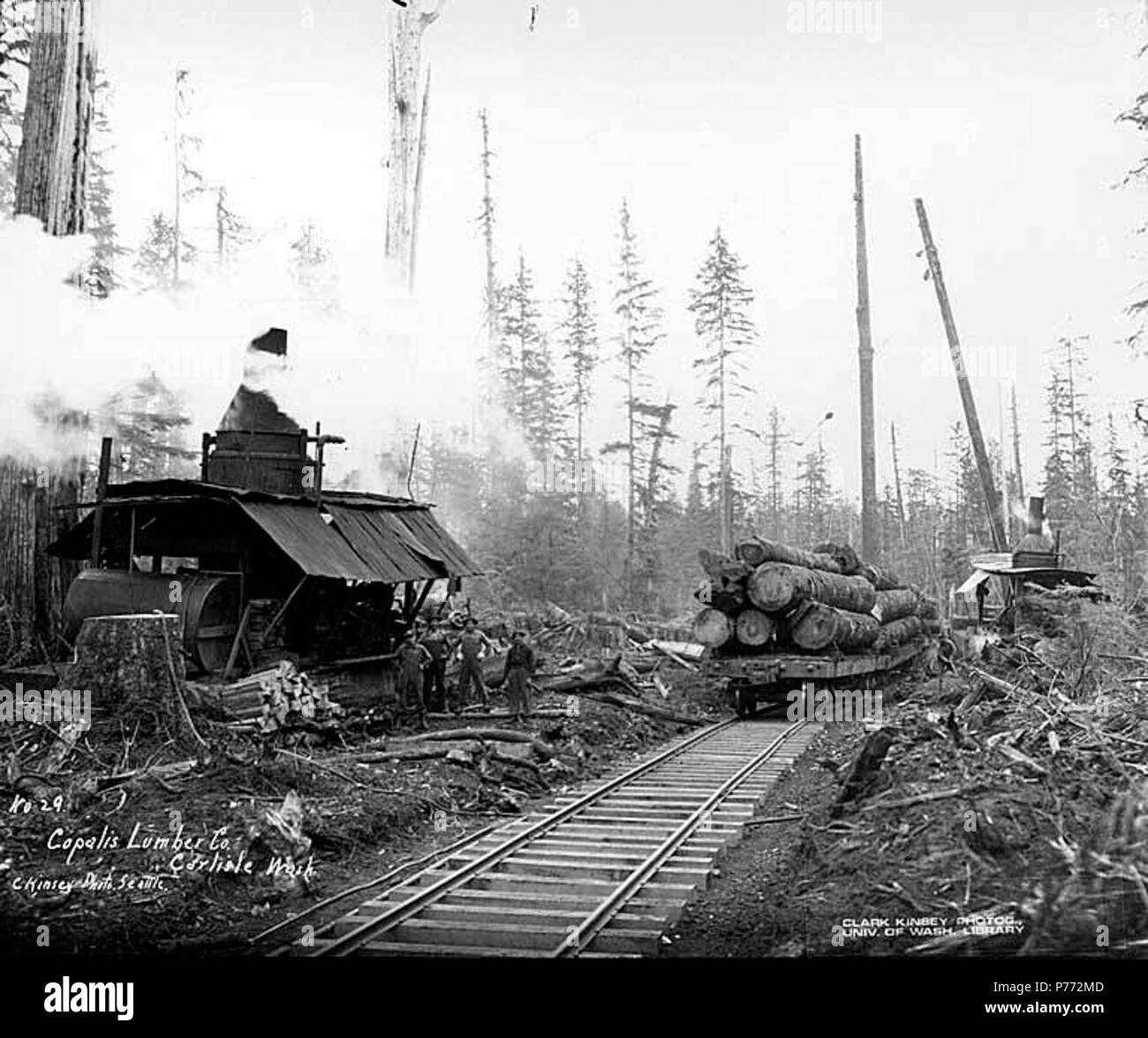 . English: Crew with donkey engine and loaded flatcar, Copalis Lumber Company, near Carlisle, ca. 1917 . English: Caption on image: Copalis Lumber Co., Carlisle, Wash. C. Kinsey Photo, Seattle. No. 29 PH Coll 516.811 The Copalis Lumber Company was in business in Carlisle from 1914 to 1920. It's logging railroad was absorbed into the Carlisle Lumber Company. Carlisle is a small settlement on the Copalis River four miles east of the Pacific Ocean in southwest Grays Harbor County. When established in 1912 by the Carlisle Lumber Company, it was a busy logging and sawmill center. It continued to be Stock Photo
