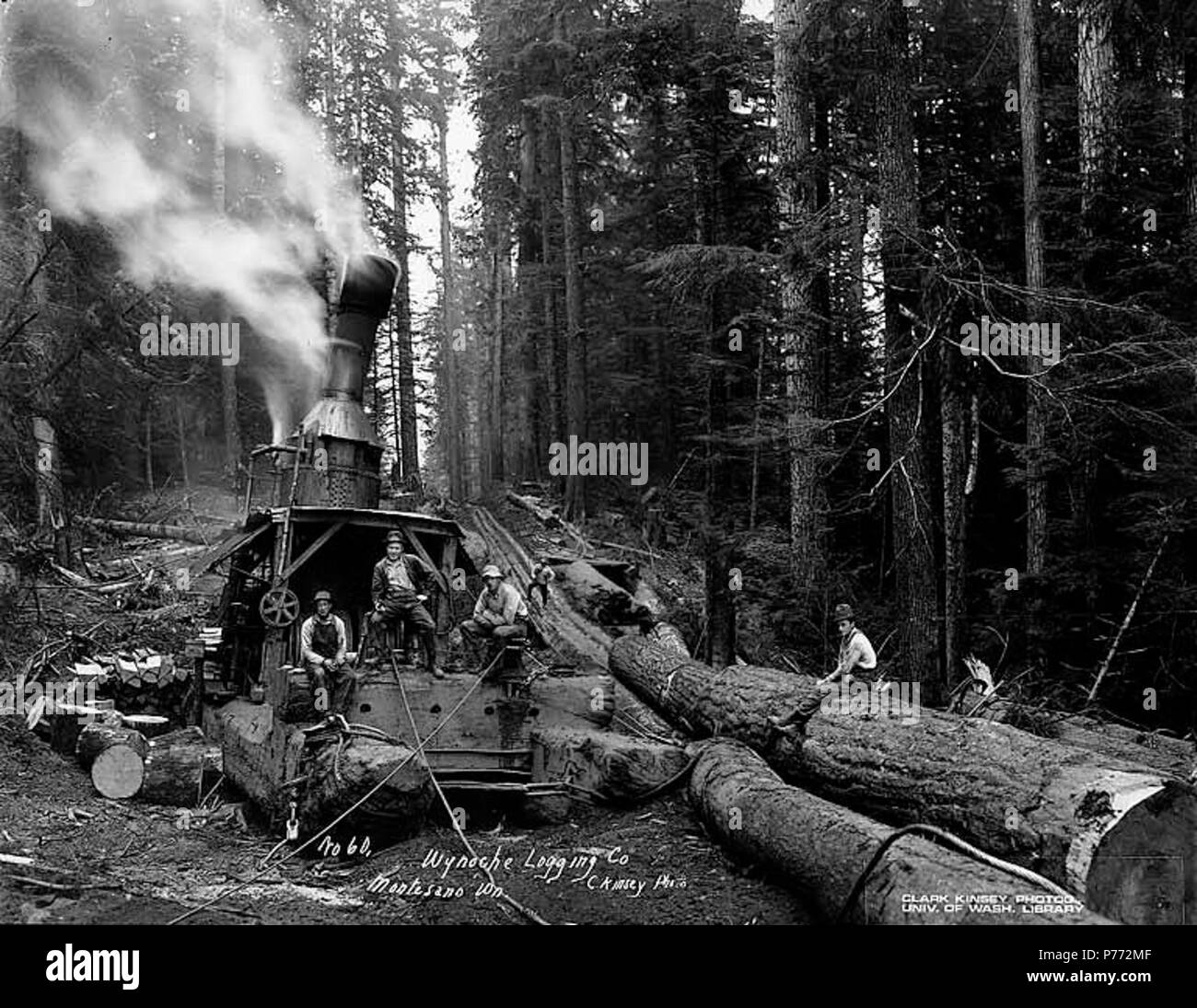 Steam logging in фото 2
