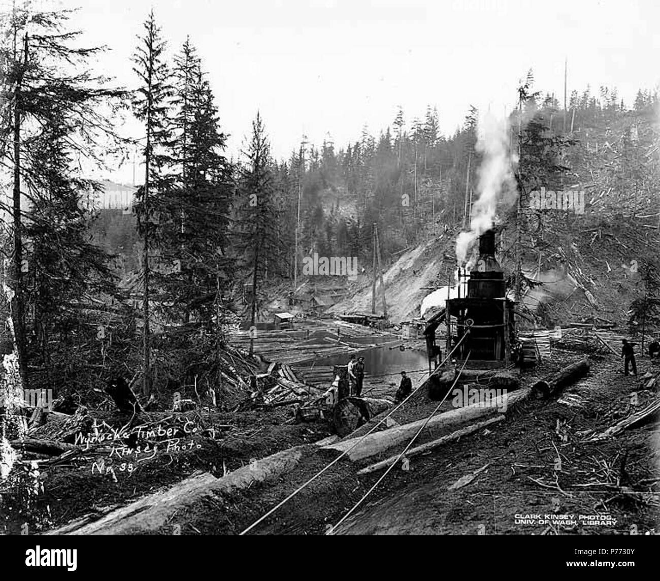 Steam logging in фото 103
