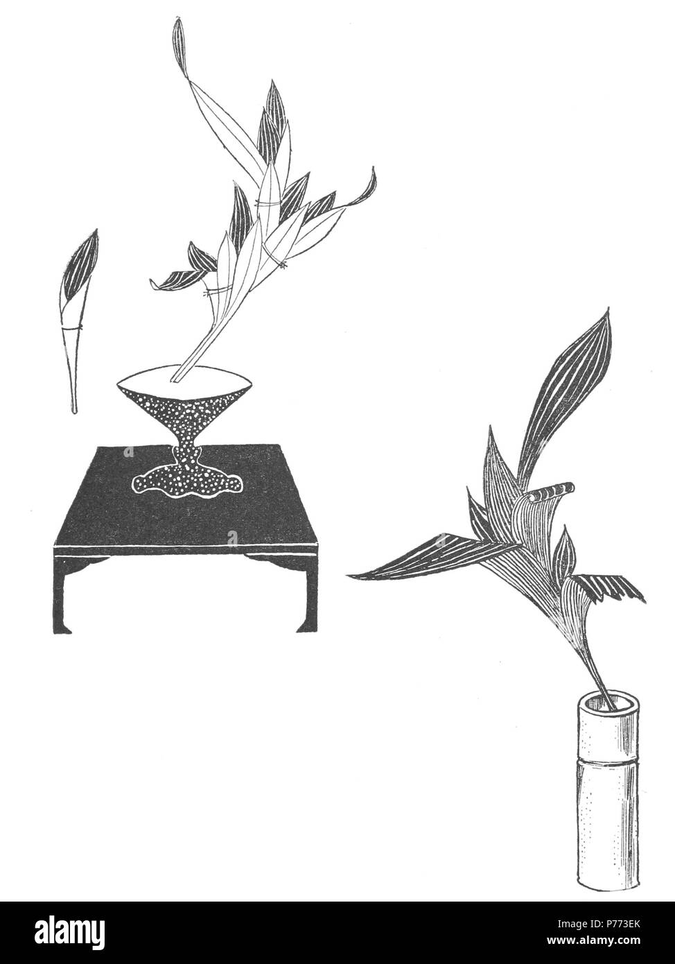 6 Japanese flower arrangement p189 Stock Photo Alamy