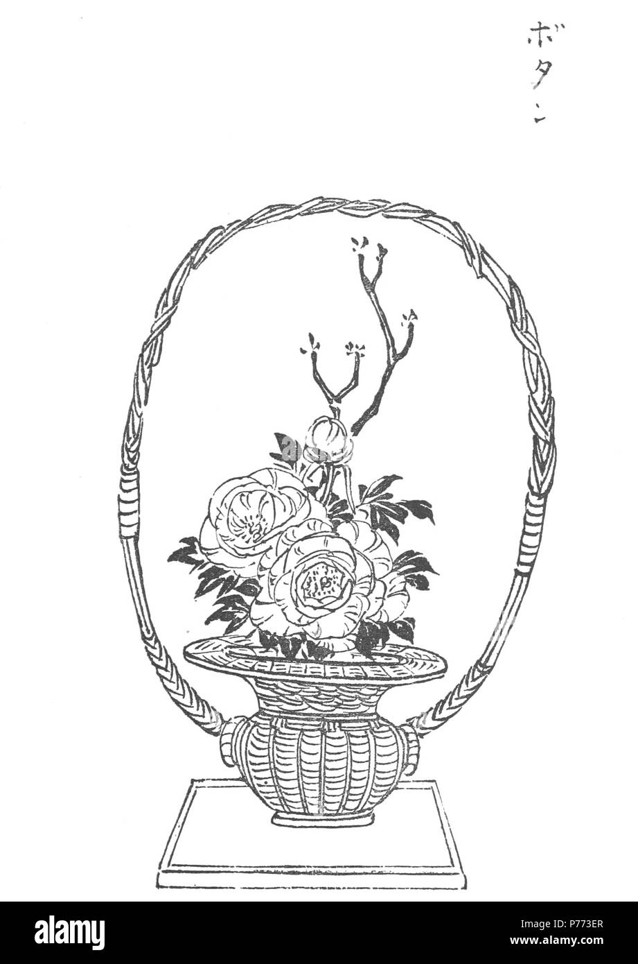 Рисунок икебаны