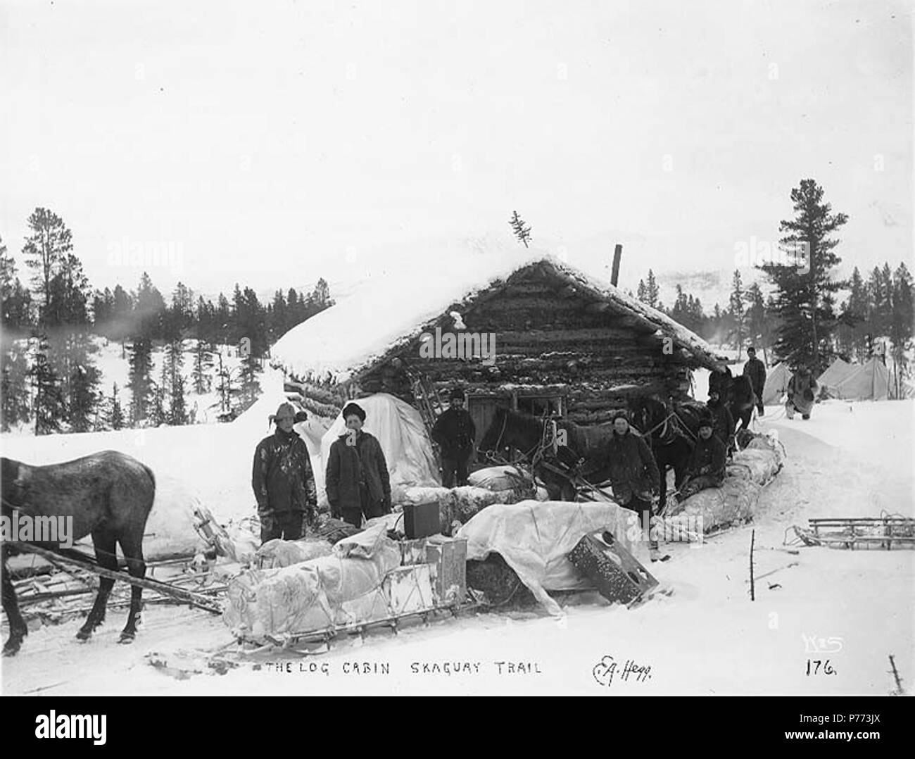 English Klondikers With Horse Drawn Sleds Resting At A Log Cabin