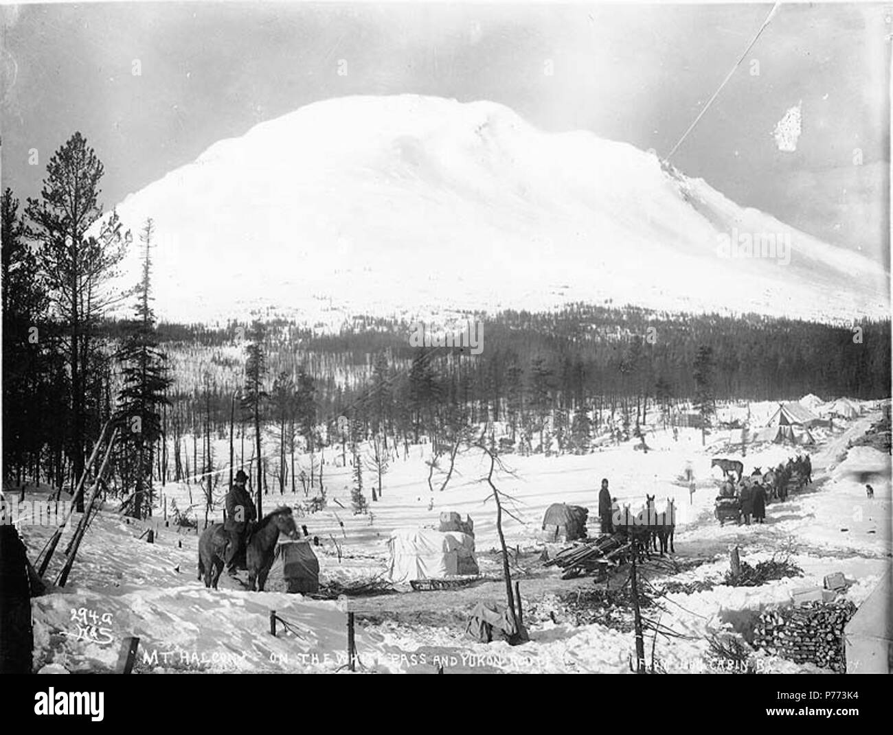 English Klondikers With Packtrains Log Cabin British Columbia