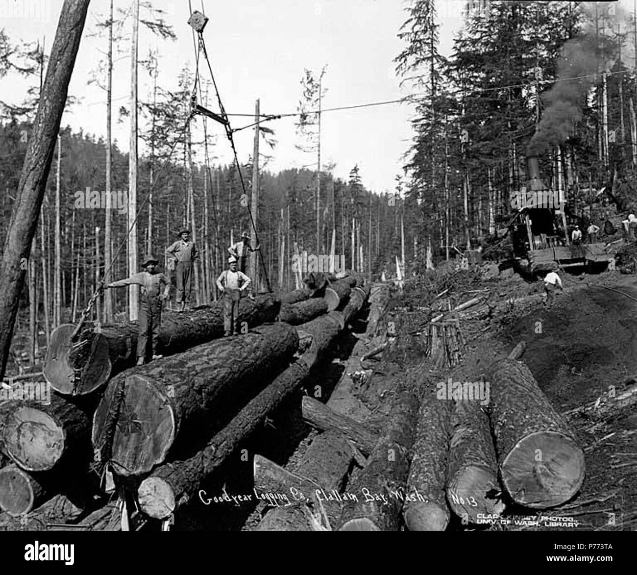 Steam logging in фото 105