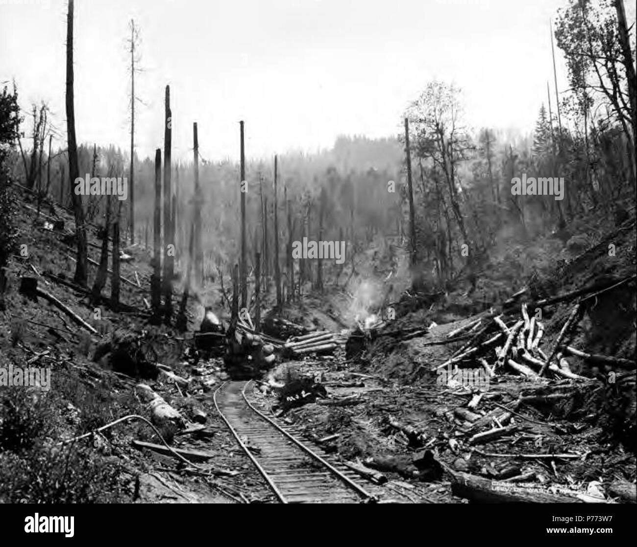 Loading railroad cars hires stock photography and images Alamy