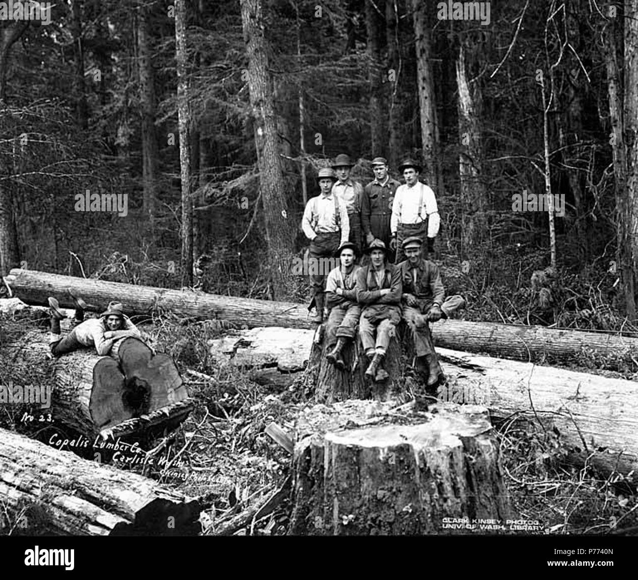 . English: Loggers in the woods, Copalis Lumber Company, near Carlisle, ca. 1917 . English: Caption on image: Copalis Lumber Co., Carlisle, Wash. C. Kinsey Photo, Seattle. No. 23 PH Coll 516.810 The Copalis Lumber Company was in business in Carlisle from 1914 to 1920. It's logging railroad was absorbed into the Carlisle Lumber Company. Carlisle is a small settlement on the Copalis River four miles east of the Pacific Ocean in southwest Grays Harbor County. When established in 1912 by the Carlisle Lumber Company, it was a busy logging and sawmill center. It continued to be active until the comp Stock Photo