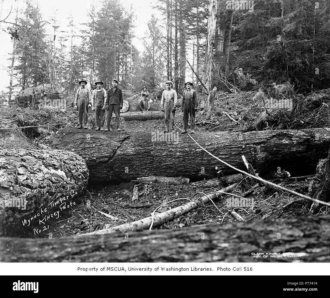 Regional forestry operations Black and White Stock Photos & Images - Alamy