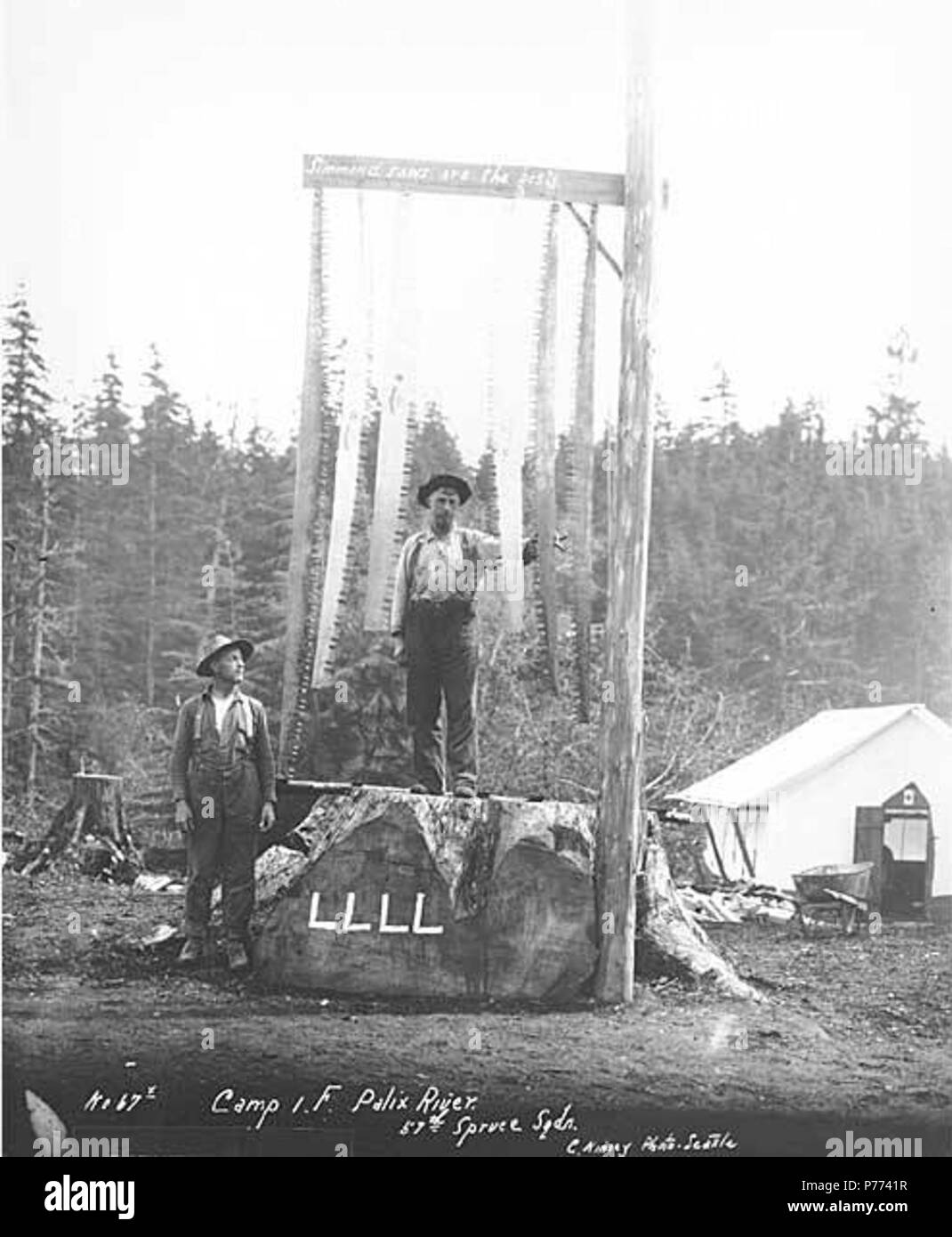 . English: Loggers with assortment of saws standing on stump which reads LLLL (for Loyal Legion of Loggers and Lumbermen) and below sign reading Simmond saws are the best, camp 1F, 57th Spruce Squadron, Palix River, ca. 1918 . English: Caption on image: Camp 1F, Palix River, 57th Spruce Sqdn. C. Kinsey Photo, Seattle. No. 67x PH Coll 516.4584 The Palix River rises in the high country south of South Bend in west central Pacific County and flows west to Willapa Harbor at Bay Center. Three forks of the river join in a wide tidal estuary. The name is Chinook Indian, meaning 'slough covered with tr Stock Photo