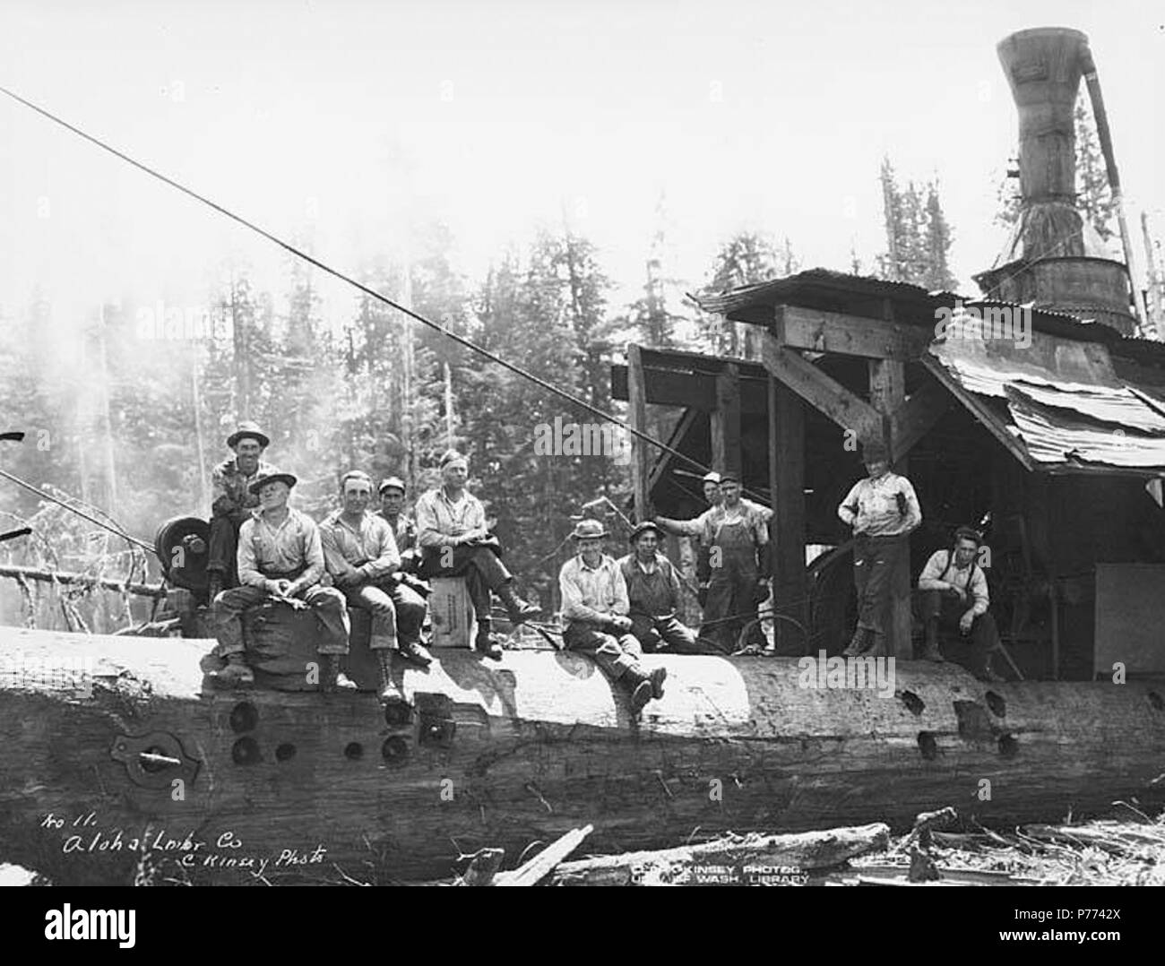 . English: Logging crew and donkey engine, Aloha Lumber Co., ca. 1921 . English: Caption on image: Aloha Lumber Co. C. Kinsey Photo. No. 11 PH Coll 516.23 Aloha was once home to Aloha Mill and Shake Company. It is located two miles east of the Pacific Ocean on Beaver Creek in west central Grays Harbor County. It was founded by R. D. Emerson and W. H. Dole in 1905. The name, a Hawaiian greeting, was chosen by members of the Dole family, who were landowners and business people in Hawaii. In 1920, Aloha Mill & Lumber Co. successfully bid on a unit of timber near Moclips, six miles away from its m Stock Photo