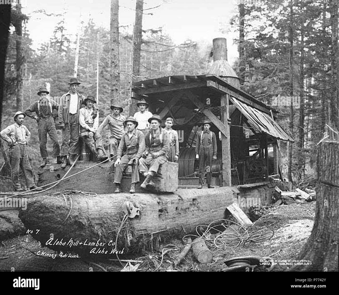 . English: Logging crew and donkey engine, Aloha Lumber Company, ca. 1921 . English: Caption on image: Aloha Mill & Lumber Co., Aloha, Wash. C. Kinsey Photo, Seattle. No. 7 PH Coll 516.21 Aloha was once home to Aloha Mill and Shake Company. It is located two miles east of the Pacific Ocean on Beaver Creek in west central Grays Harbor County. It was founded by R. D. Emerson and W. H. Dole in 1905. The name, a Hawaiian greeting, was chosen by members of the Dole family, who were landowners and business people in Hawaii. In 1920, Aloha Mill & Lumber Co. successfully bid on a unit of timber near M Stock Photo