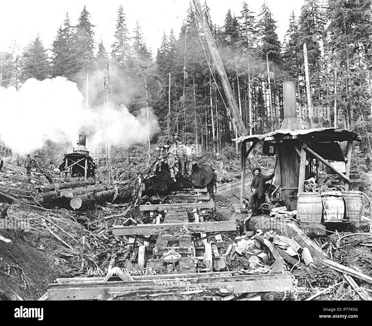 Steam logging in фото 9