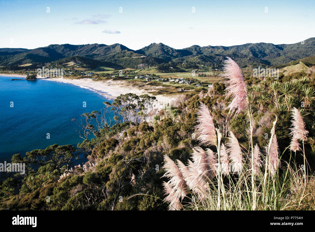 Idyllic white sand Medlands Beach, Great Barrier Island, New Zealand
