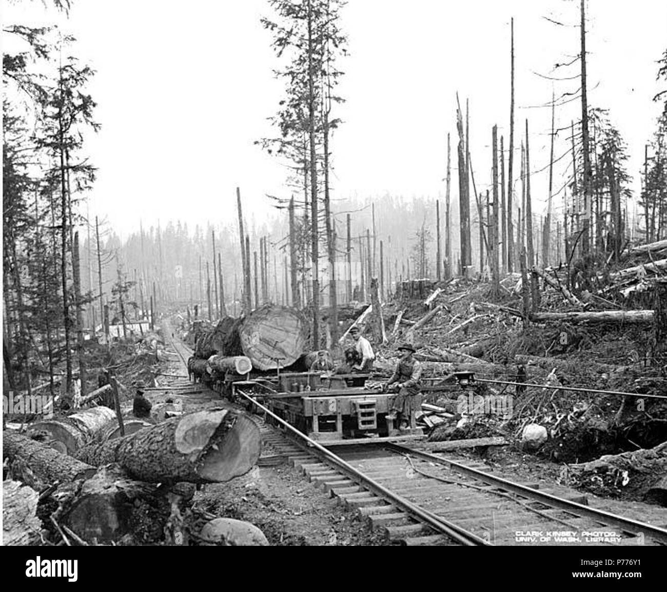 Twelve forks Black and White Stock Photos & Images Alamy