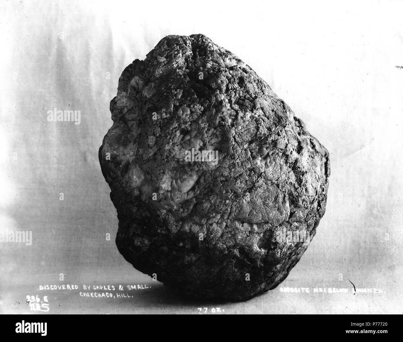 . English: Gold nugget weighing 77 ounces discovered on Cheechako Hill, Yukon Territory, ca. 1898. English: Caption on image: 'Discovered by Saples and Small. Cheechaco Hill. Opposite no 1 below Bonanza. 77 oz.' Original image in Hegg Album 25, page 43 . Original photograph by Eric A. Hegg 816; copied by Webster and Stevens 236.A . Klondike Gold Rush. Subjects (LCTGM): Gold--Yukon--Cheechako Hill Subjects (LCSH): Yukon--Gold discoveries  . circa 1898 5 Gold nugget weighing 77 ounces discovered on Cheechako Hill, Yukon Territory, ca 1898 (HEGG 356) Stock Photo