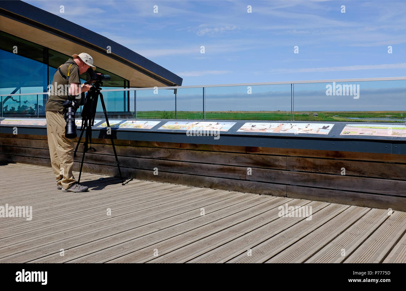 birdwatcher at cley nature reserve, north norfolk, england Stock Photo