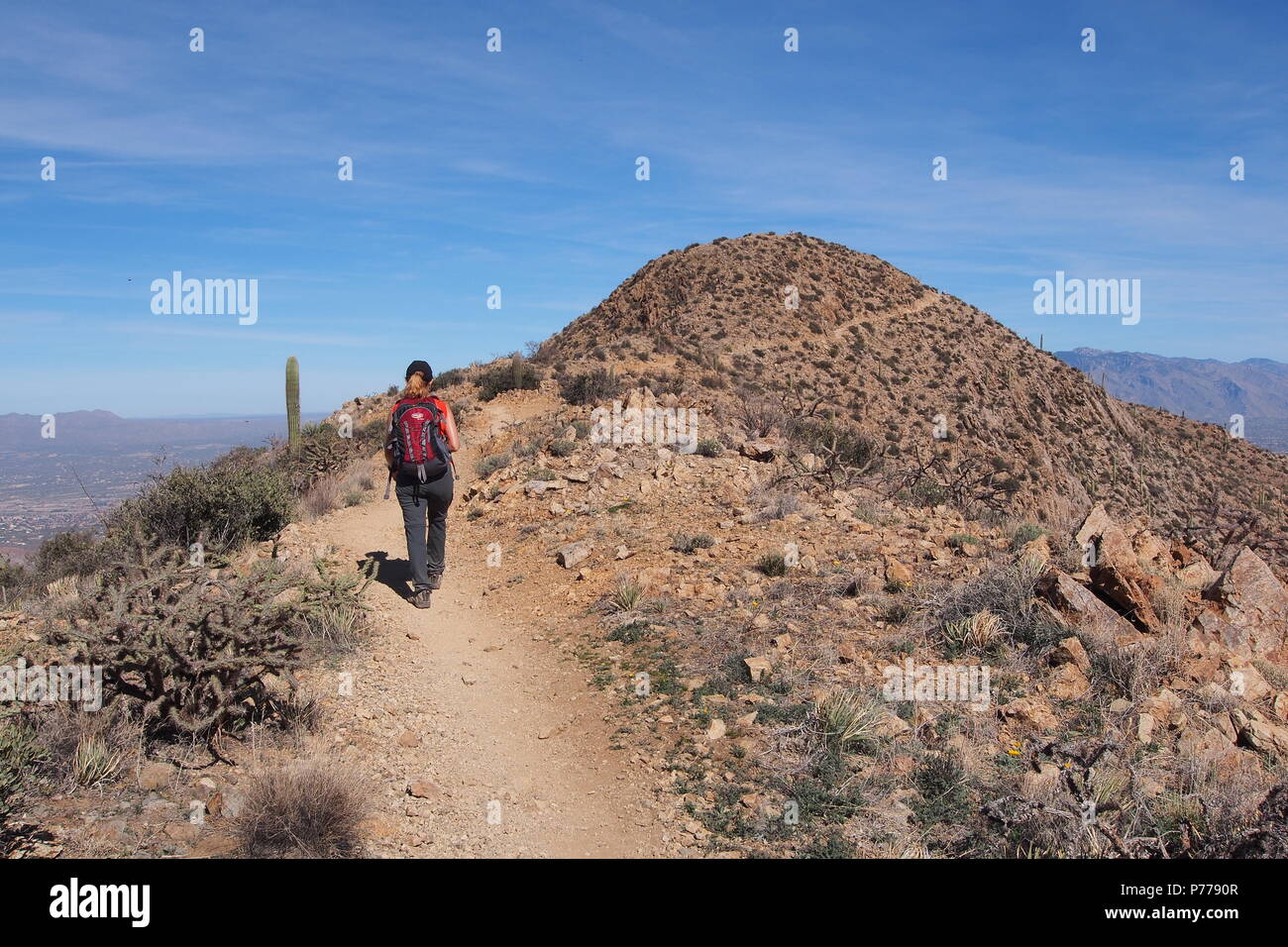 King canyon trail saguaro national cheap park